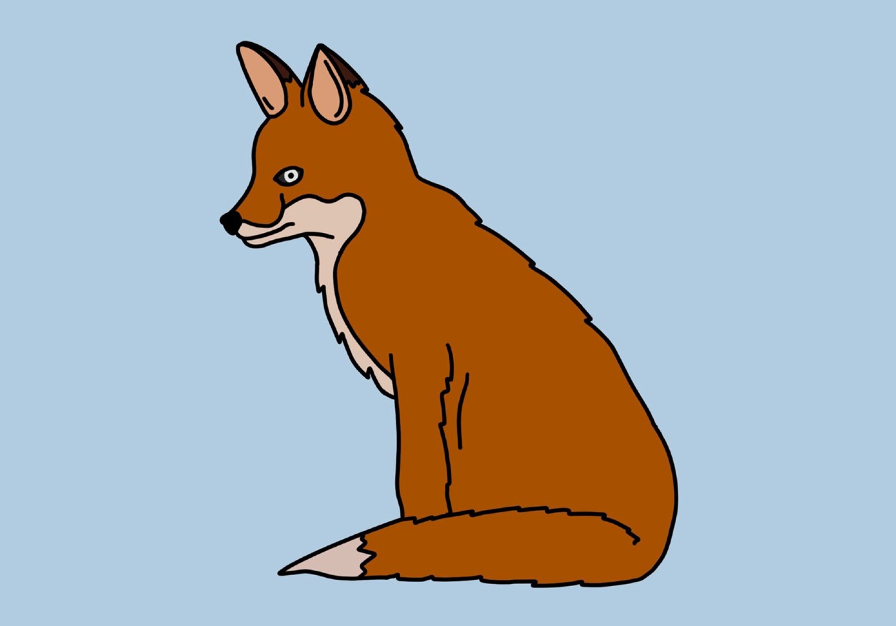 Drawing of Fox