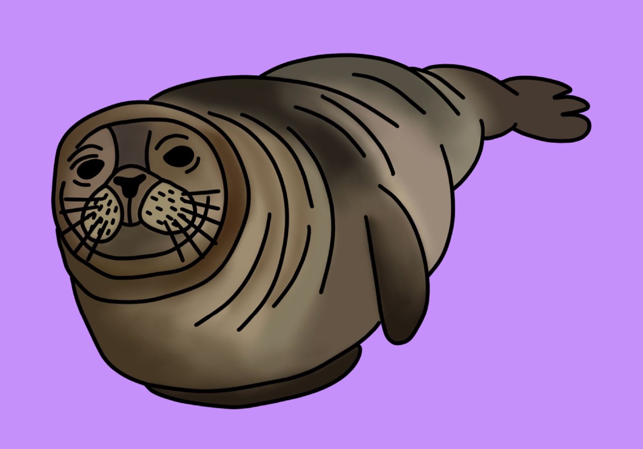 Drawing of seal