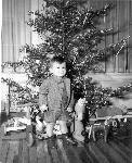 Boy stands in front of Christmas tree, c. 1944.