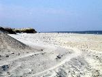 Beach at Sandy Hook