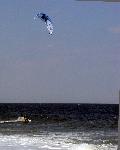 Sailboarding in Sandy Hook Bay