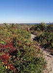 Coastal areas near Fort Tilden