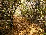 Fall at the Wildlife Refuge