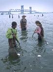Seining at Dead Horse Bay