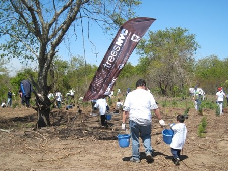 Dozens of volunteers from all over the New York area help plant new trees at Gateway.