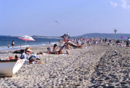 Visit the beaches of Sandy Hook and use the park shuttle to get around.