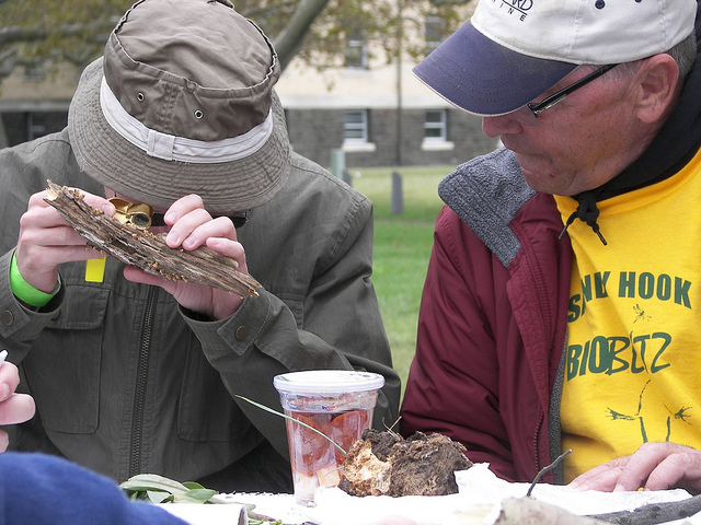 Have fun with fungi--or, help identify plants, birds or other forms of life at the Sandy Hook BioBlitz. Photo courtesy of the American Littoral Society.