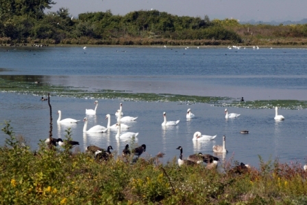 Jamaica Bay Wildlife Refuge Jamaica Bay Wildlife Refuge