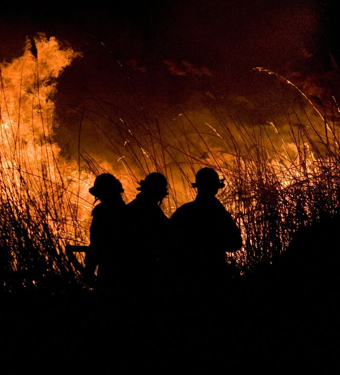 phragmites-fire-gateway-parkjpg-4b1143143adf6907