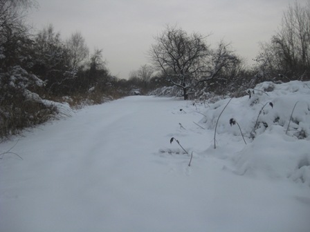 "Last Saturday I cross country skied using the tracks laid down by one of the Park Rangers. I enjoyed the skiing very much and appreciate your efforts to maintain the trail. Keep up the good work." ---Andre Montero, Brooklyn NY