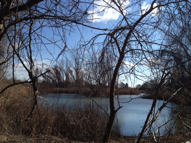 North 40 - Floyd Bennett Field