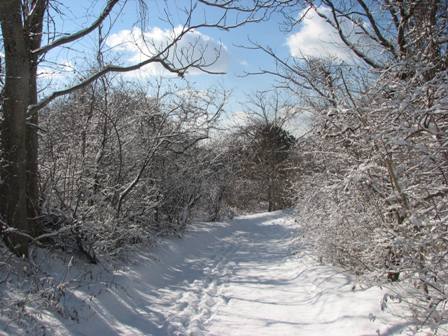 When life gives you lemons, make lemonade. When winter brings snow, go cross-country skiing at Floyd Bennett Field!