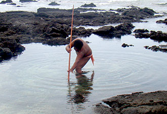 Native Hawaiian spears for fish