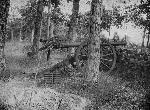 Whitworth Cannon