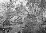 Devil's Den