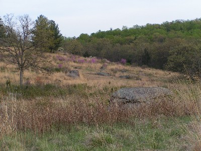 Little Round Top
