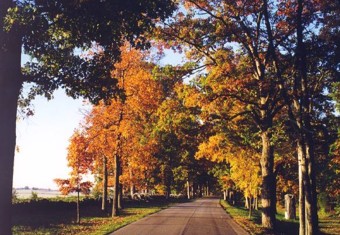 West Confederate Avenue