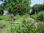 10 Herb Garden