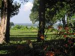 11 Popes Creek