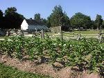 13 Living Colonial Farm