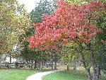 15 Upper Trail