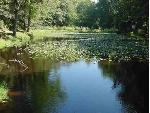 16 Ice Pond