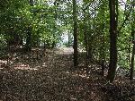 19 Nature Trail