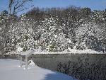 Popes Creek