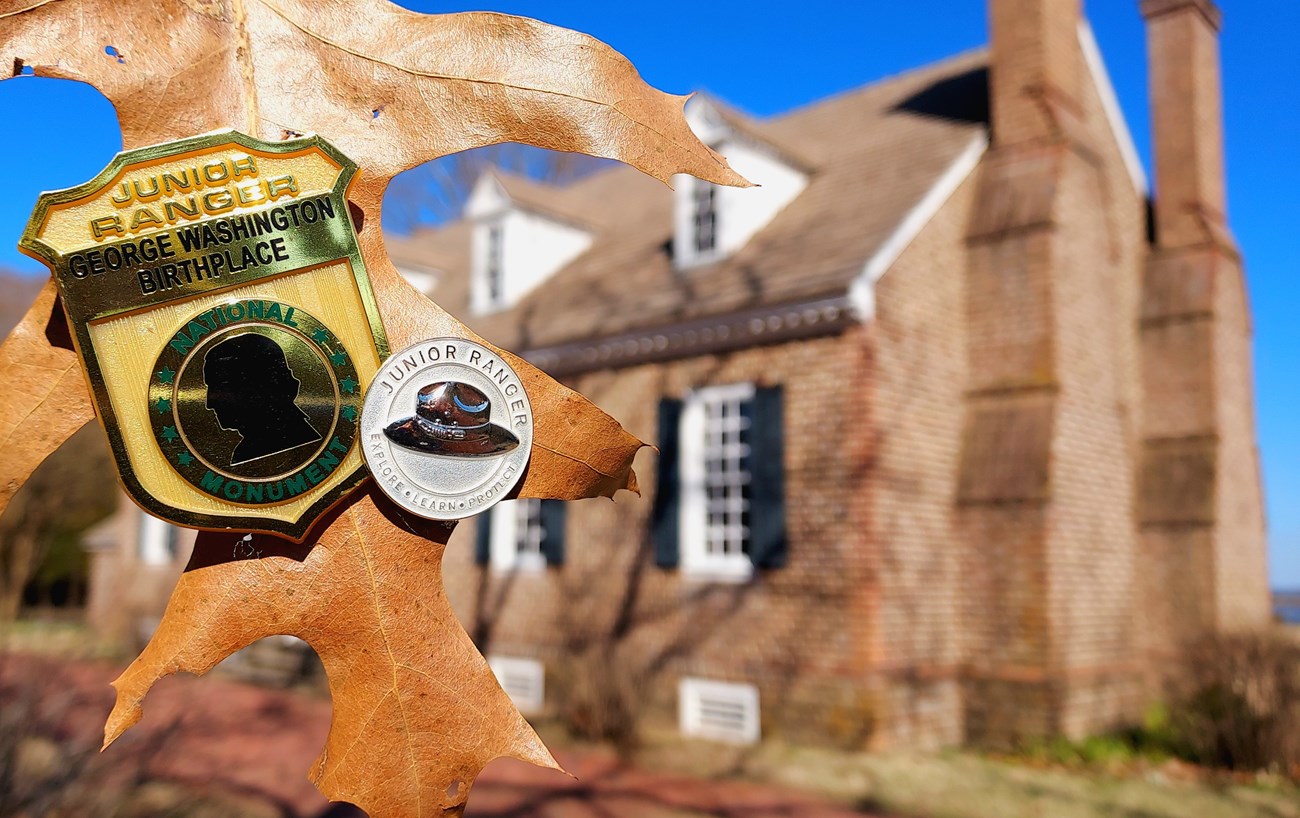 A Junior Ranger badge with a silver Junior Ranger pin. They are artistically attached to a brown leaf. The Memorial House Museum is in the background.