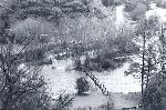 Flood at trailhead near Contact Station
