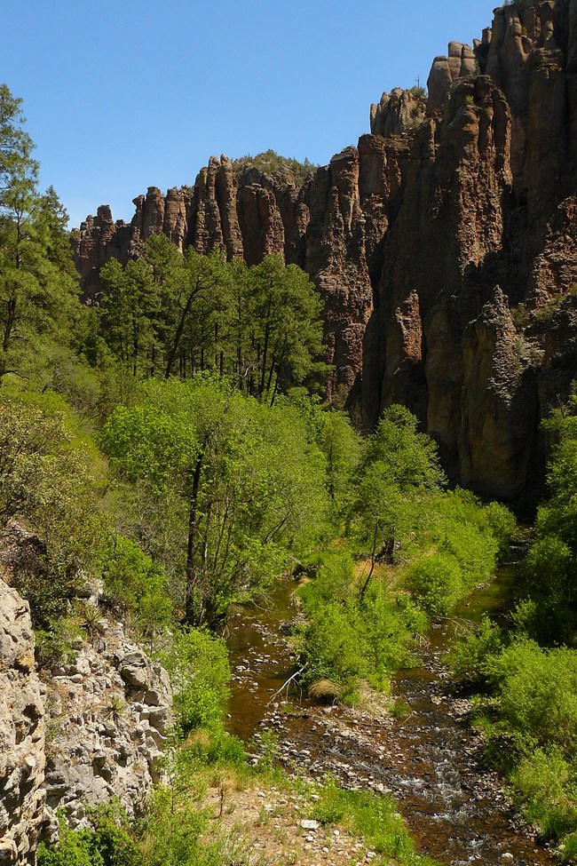 The West Fork of the Gila River passes through lush vegetation with large spires of rock rising up from behind on the right.