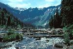 Avalanche Lake