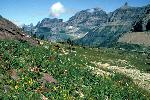 Logan Pass