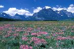 Red Eagle Mountain