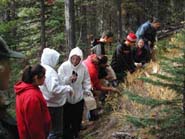 Students seed collecting