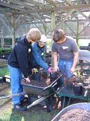 Students loading wheel barrow