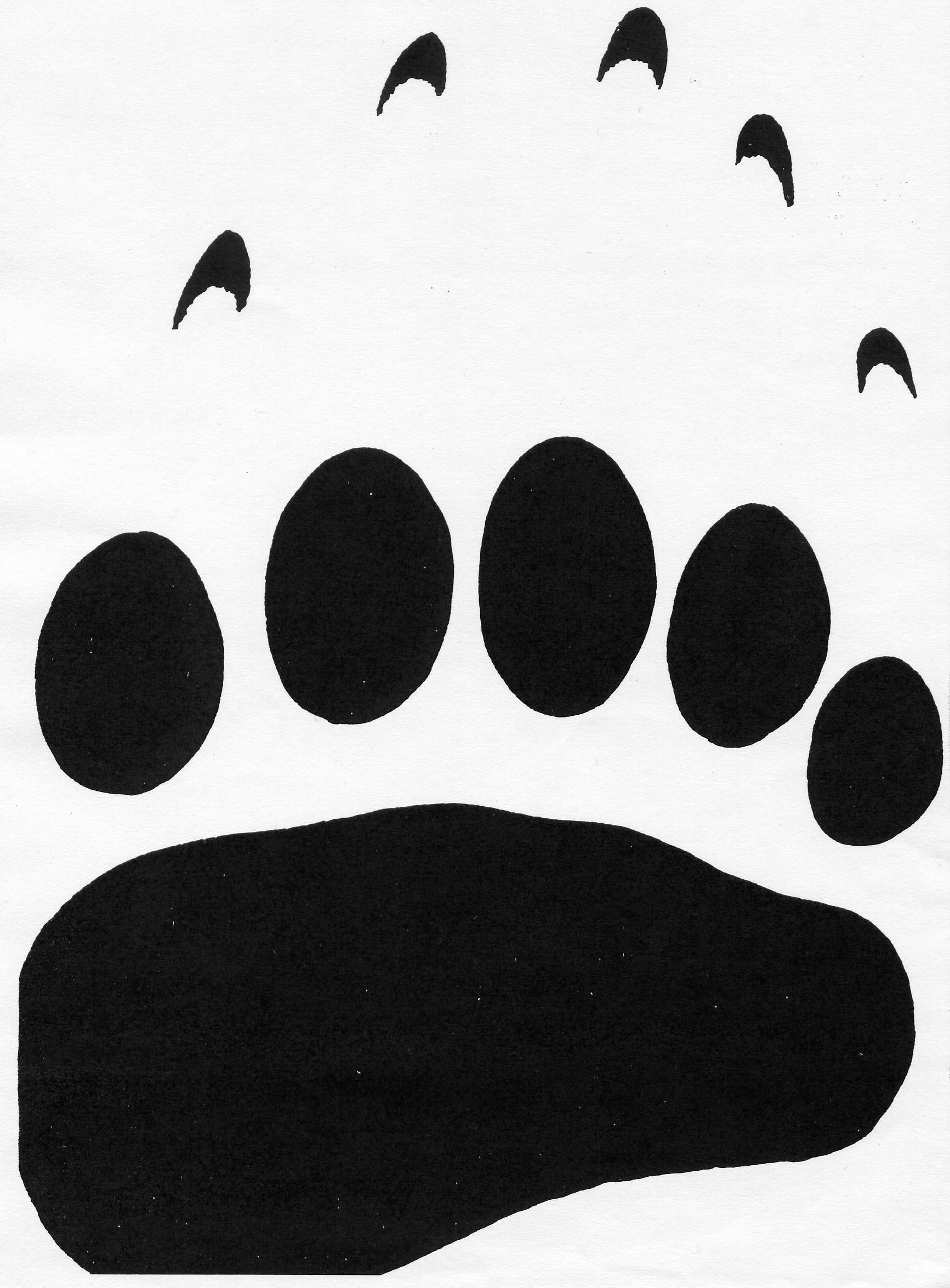 GrizzlyBearLeftFrontTrack
