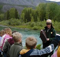 beaver activity