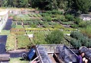 native plant nursery