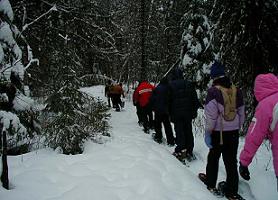 snowshoeing