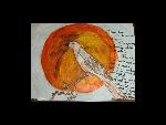 Honorable Mention: 6th – 8th grade category
