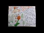 Honorable Mention: 6th – 8th grade category