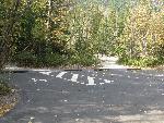 Polypave and concrete log wheel stops