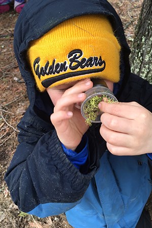 Little boy in wool cap holds magnifying lens and lichen up to his eye