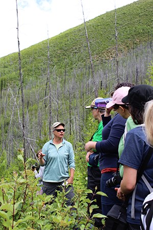 Hikers pause on trail in recent burn area facing a speaker in sunglasses