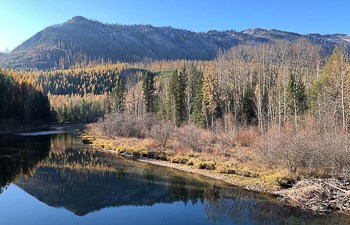 Beaver lodge in still water on lower mcdonald creek.