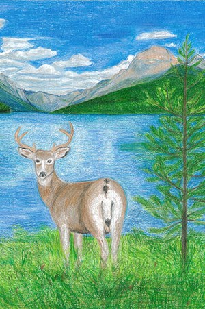 colored pencil drawing of deer by tree and lake