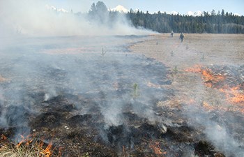 burn line across dry field monitored by two individuals