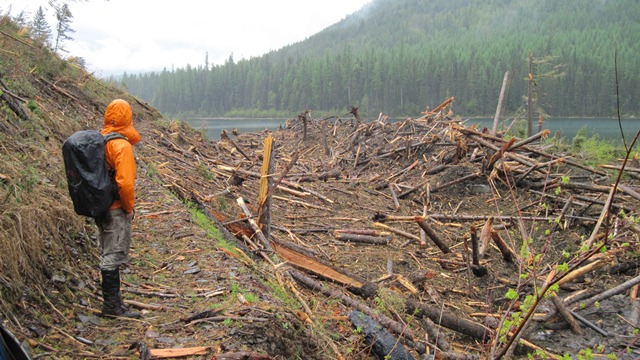 Avalanche debris above foot of Trout Lake