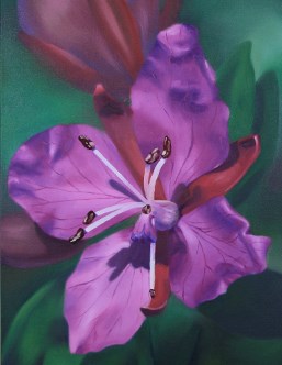 Fireweed painting by Ray Radigan